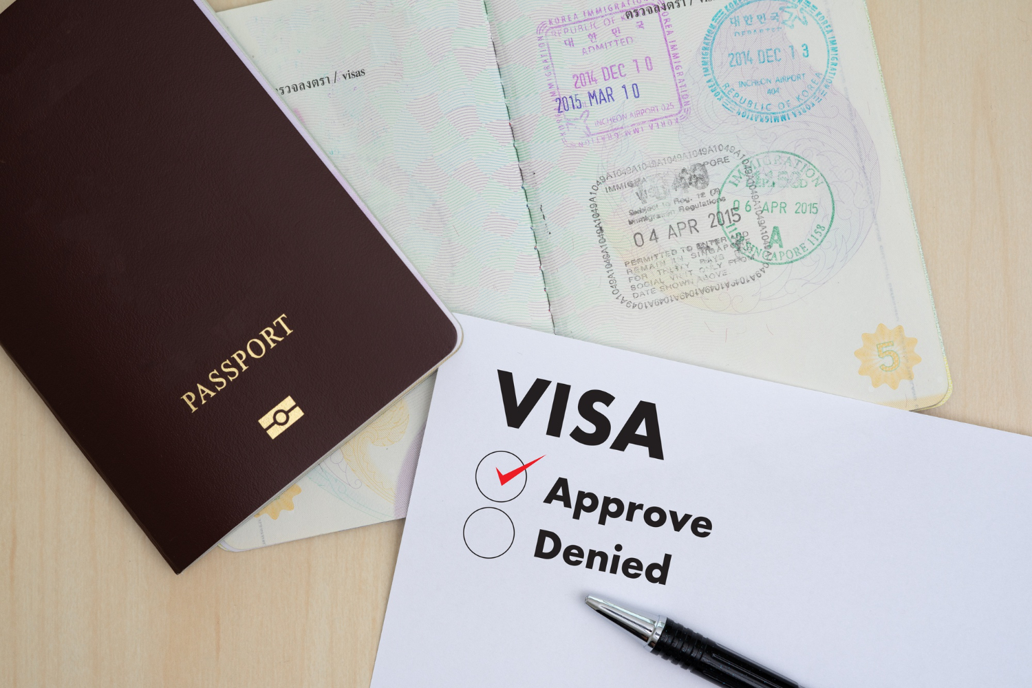 Visa Processing 
